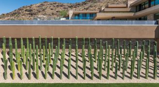 Paradise Valley - Coen+Partners